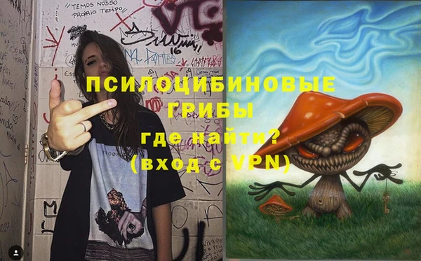 хмурый Майский