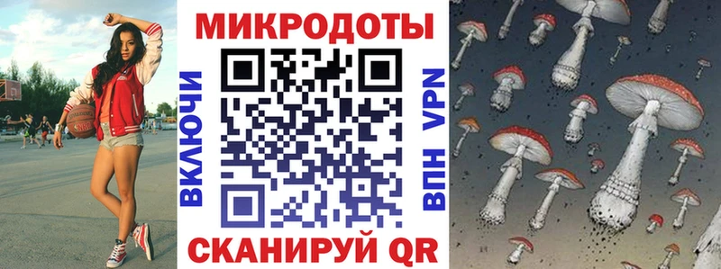 магазин продажи наркотиков  Пошехонье  Галлюциногенные грибы MAGIC MUSHROOMS 